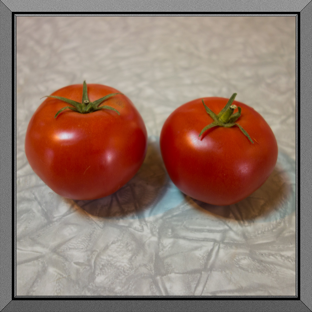 Two Tomatoes 2013